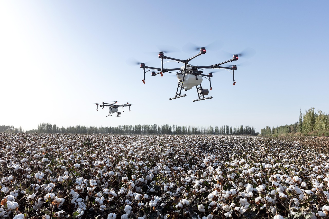 Kenya is betting on a revival of its cotton fields, with new methods aimed at supplying a home-grown textile industry.